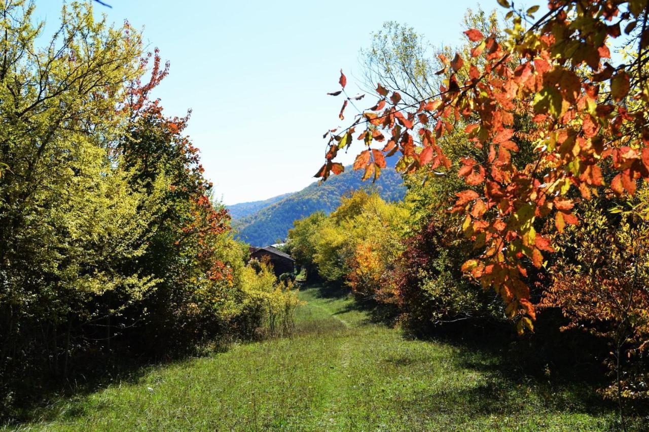 Macedonia, Accommodations,rentals