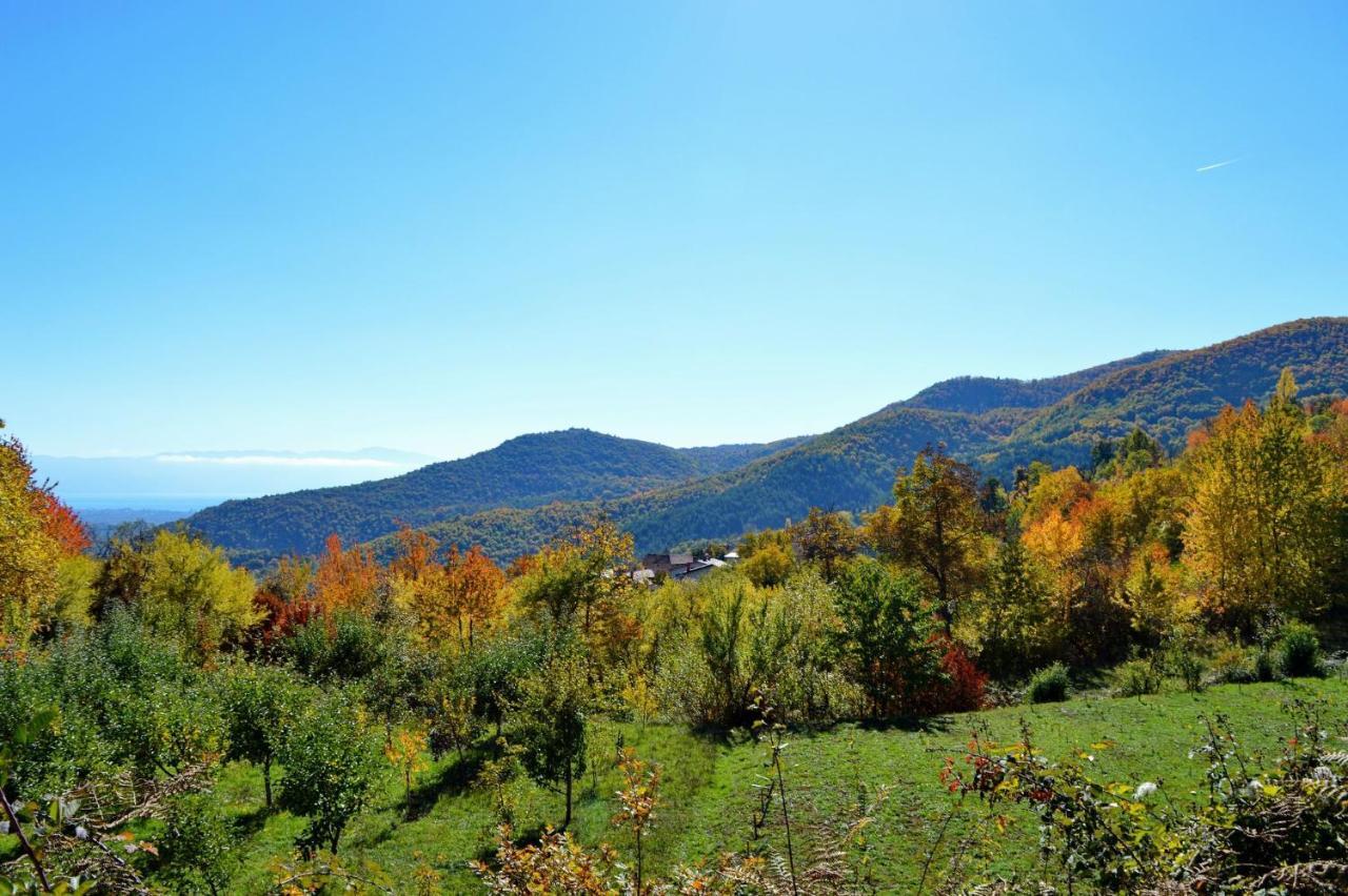 Macedonia, Accommodations,rentals