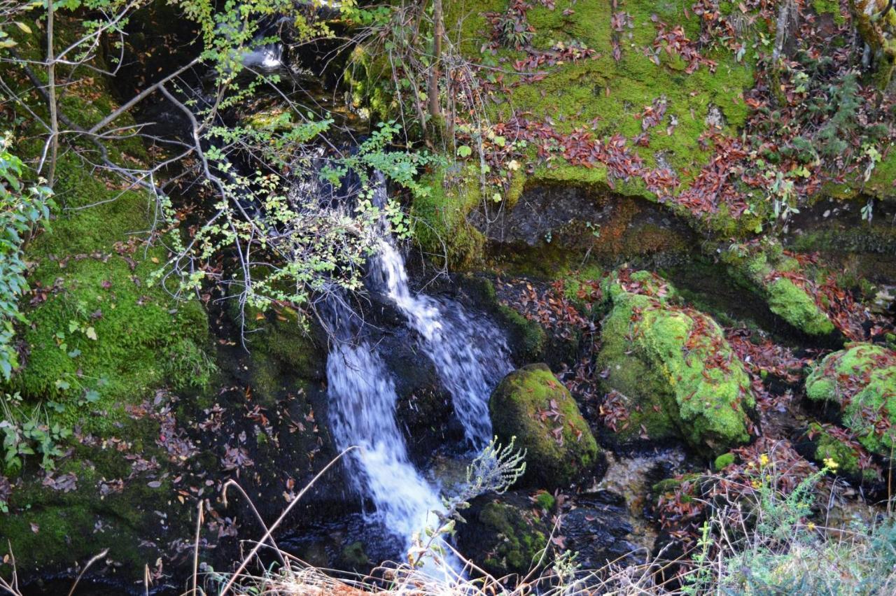 Macedonia, Accommodations,rentals